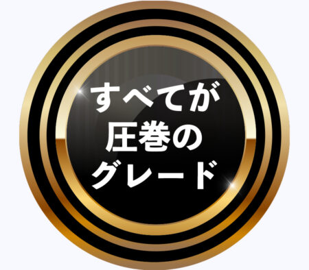 すべてが圧巻のグレード